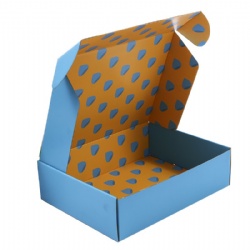 Custom Packaging Cardboard Mailer Box