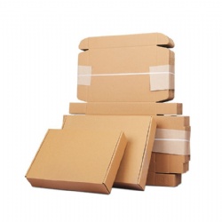 Corrugated Cardboard Mailing Shipping Packaging Box